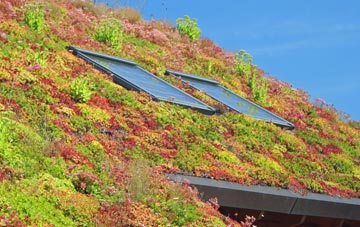 Dunlop living roof systems